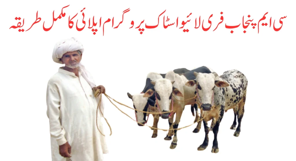 CM Punjab Free Livestock Program